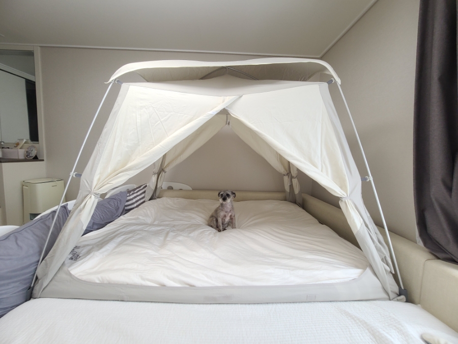 따수미스위트 웜텍스TC 33