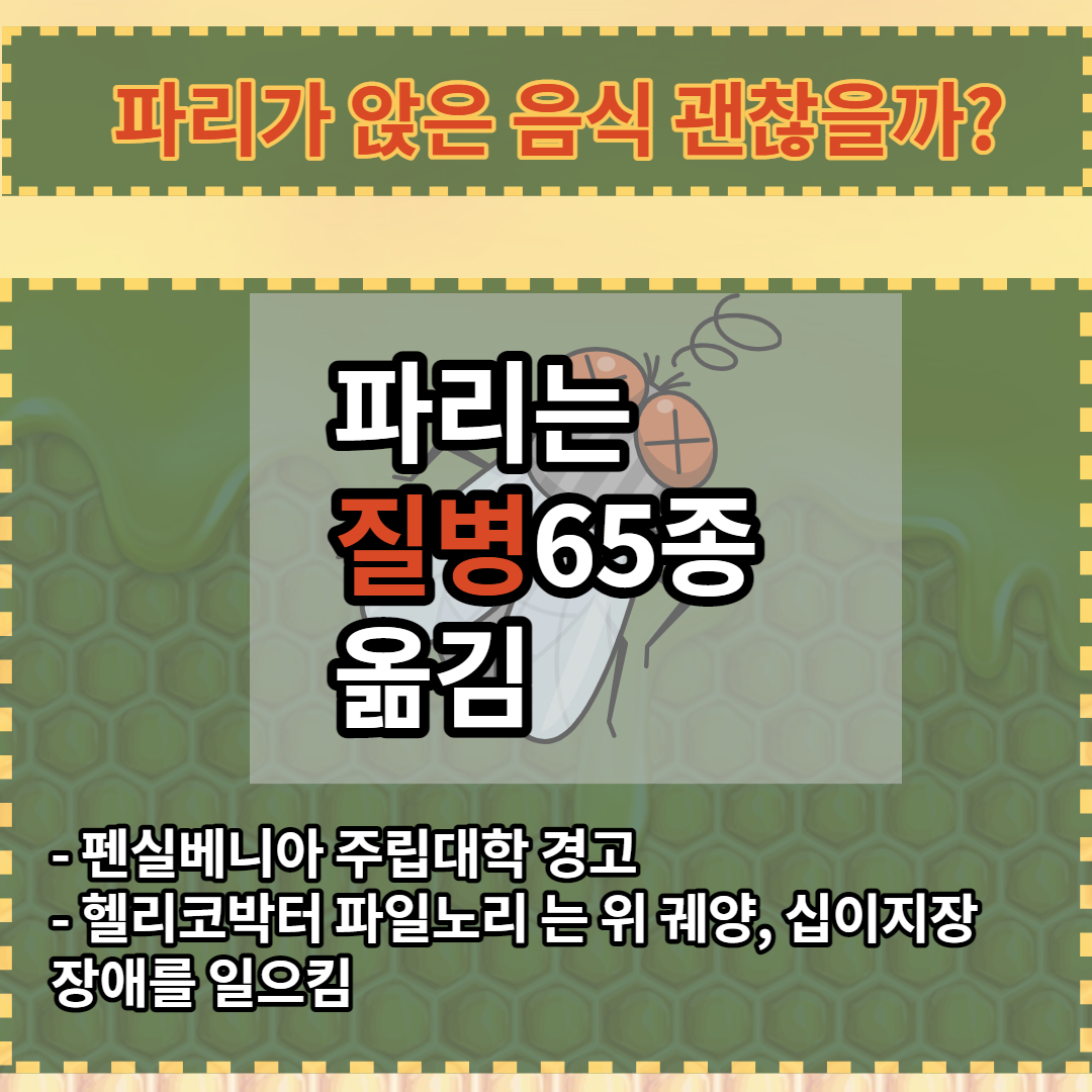 해충 파리