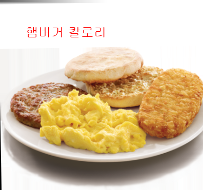 햄버거 칼로리7
