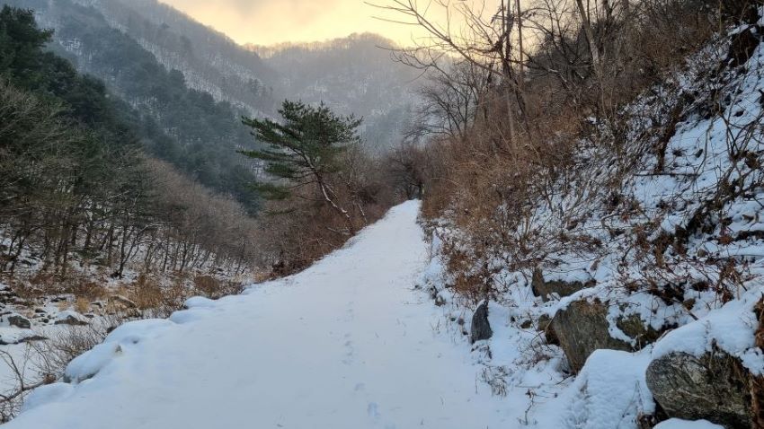 계곡 건너편 눈길에 발자국, 우측에 급경사 산비탈, 좌측에 계곡, 앞을 가로막은 높은 산, 연인산, 흐린하늘,