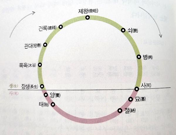 12운성 그래프