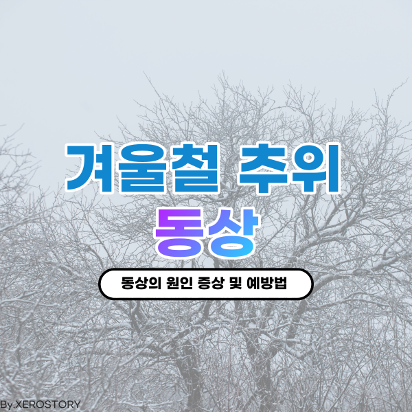 겨울철 손발시림 동상의 원인과 증상 및 예방법은??