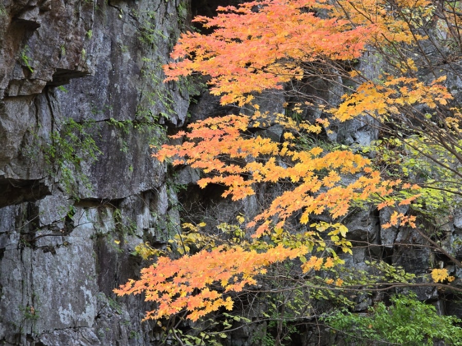 소백산국립공원 희방사코스 이미지