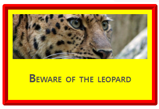 <div> 태그에 CSS 적용