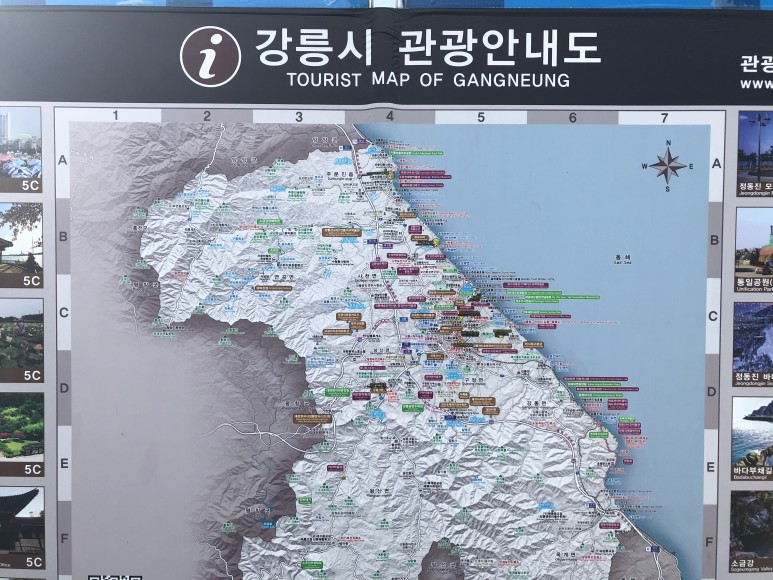 단위로 가기 좋은 강릉여행 경포 아쿠아리움 | 가족 30