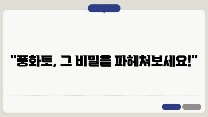 풍화토의 글로벌 트렌드