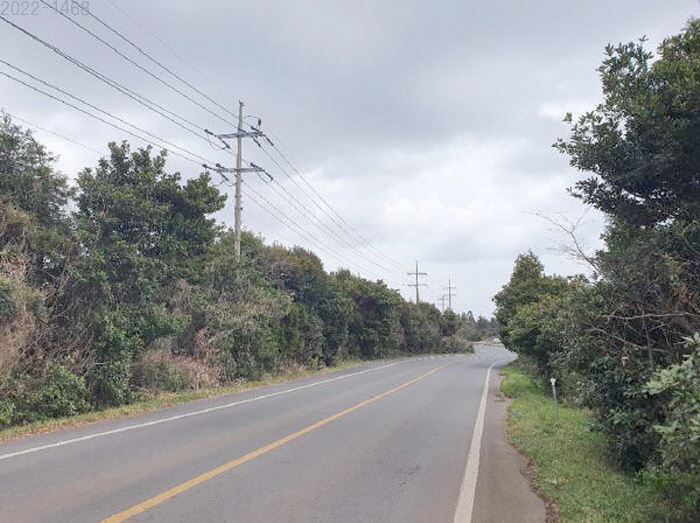 제주도 토지경매 임야경매 서귀포시 18