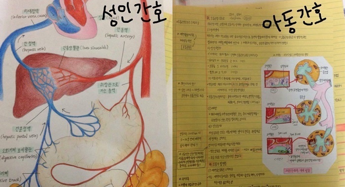  간호학과 노트정리 끝판왕.JPG