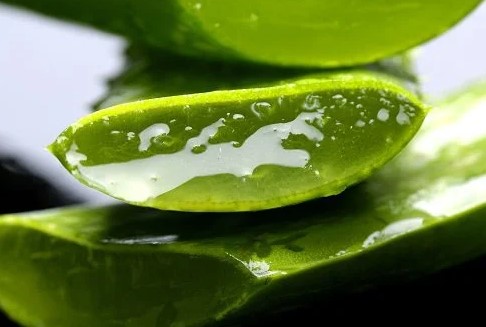 변비가 있을 때 잘 먹는다