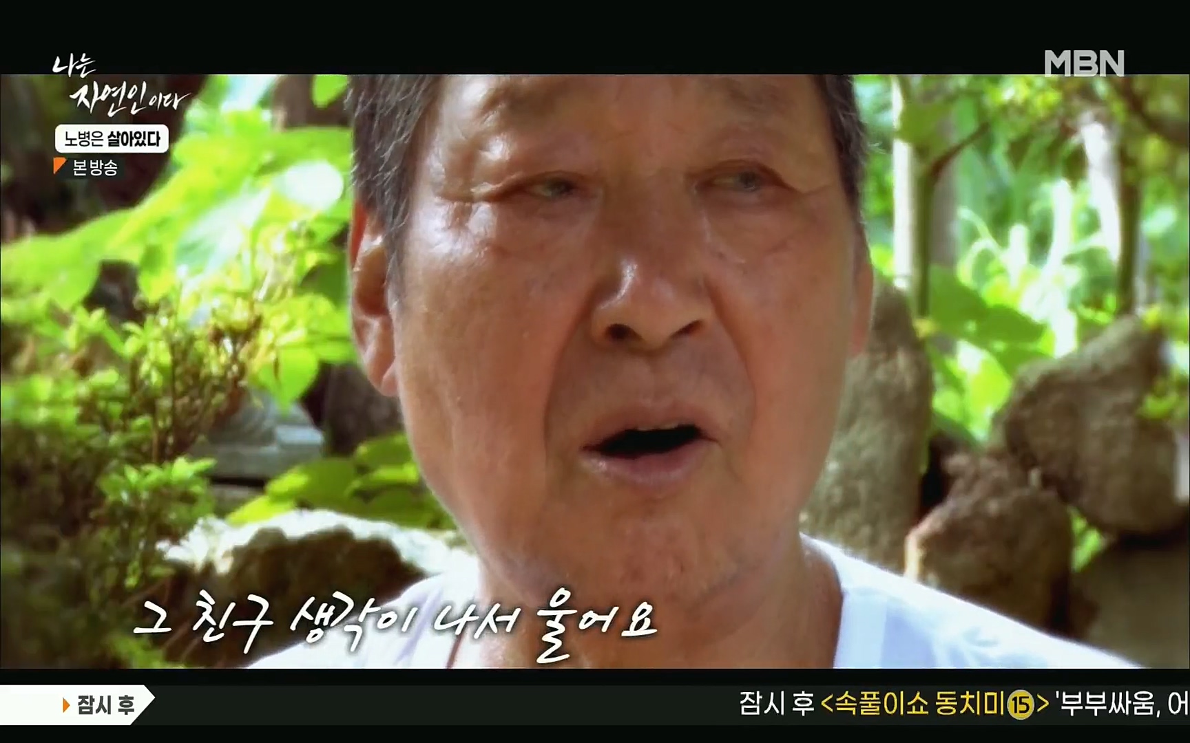 나는 자연인이다.E512.220727p.H264-F1RST.mp4_20220728_200728.041.jpg