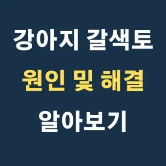 강아지 토 색깔 증상 강아지 토하는 원인과 구토 종류별 건강상태 살펴보기_4