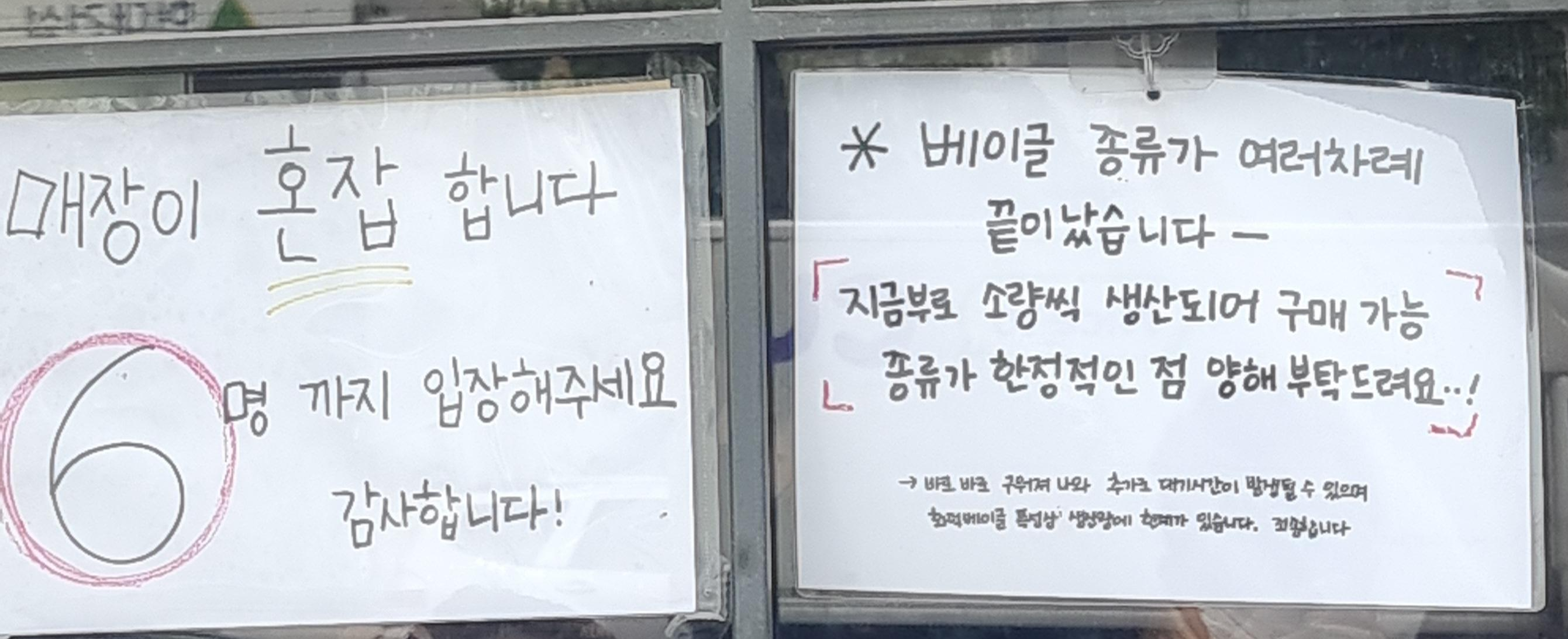 코끼리베이글 안내