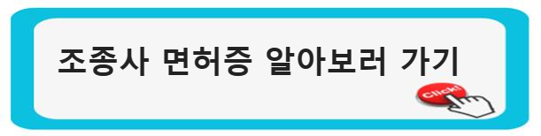 항공 운전 면허 취득: 새해 버킷리스트(Bucketlist) 조종사 면허증 알아보러 가기