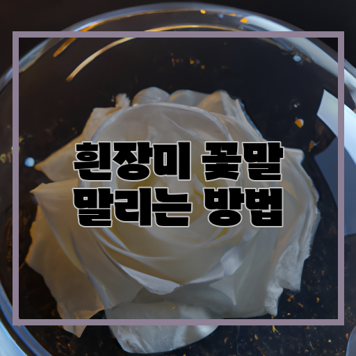  흰장미의 마지막 예쁨, 아름다움을 오래 간직하는 방법