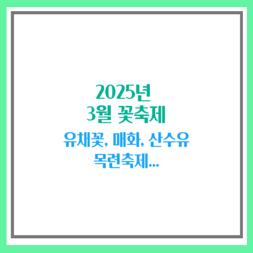 3월 꽃축제