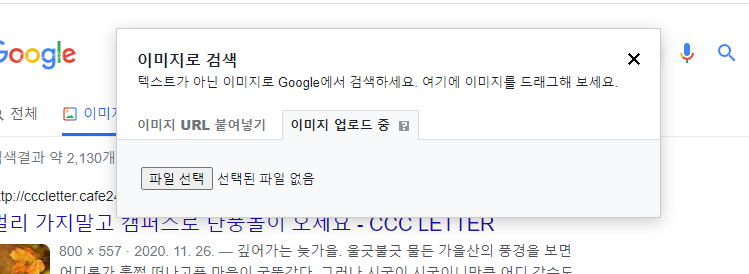 이미지로 검색사진 구글링 PC와 5