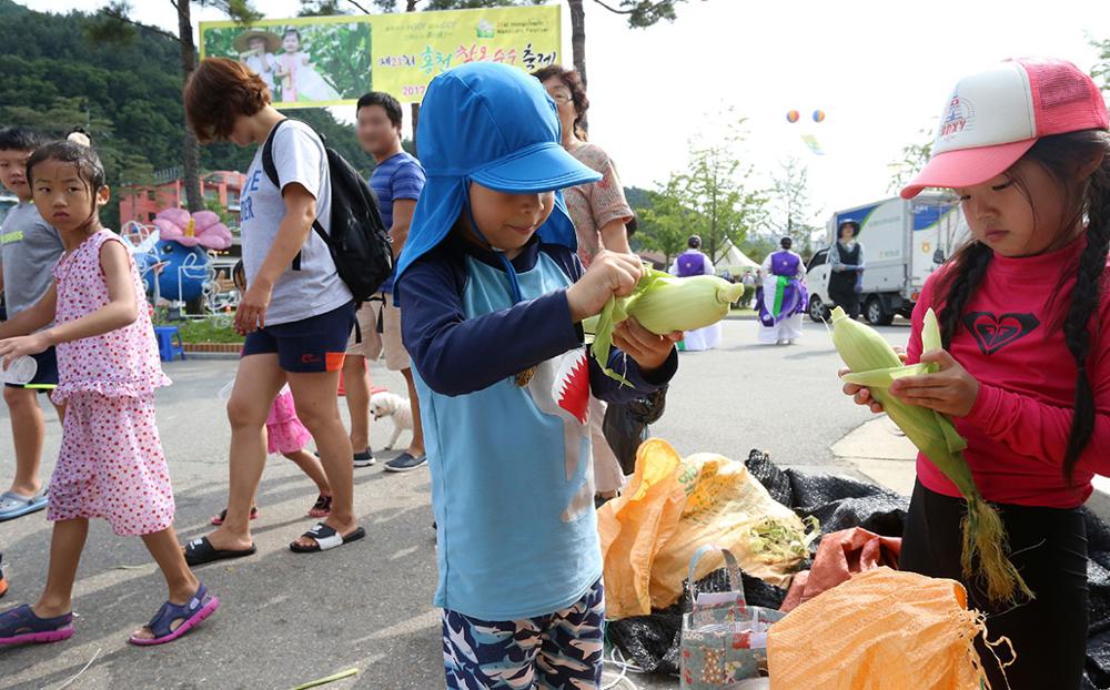 홍천찰옥수수축제