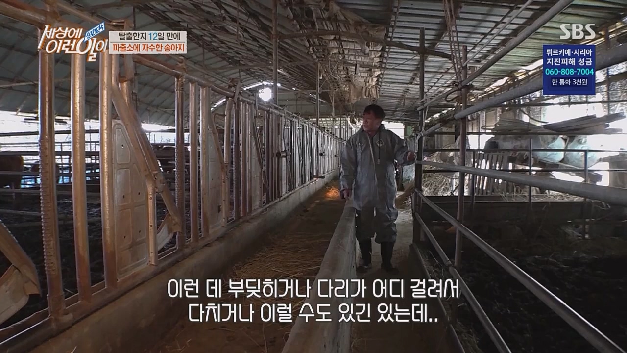 순간포착 세상에 이런 일이.E1217.230215p.WANNA.mp4_20230215_194724.857.jpg