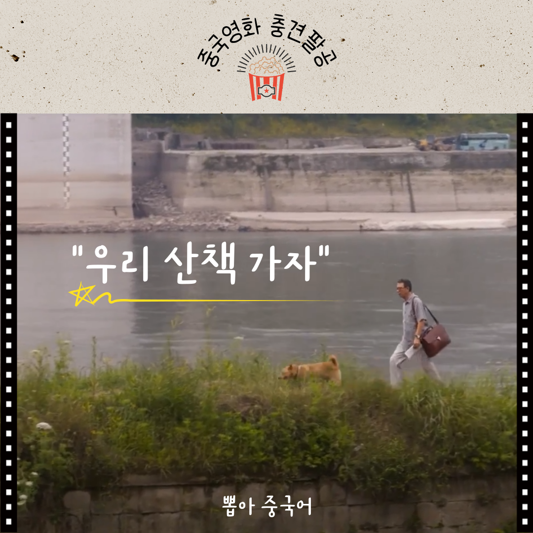 충견팔공