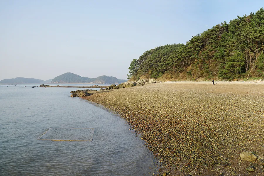 효자도 배시간표 배편 예매 요금 민박_2