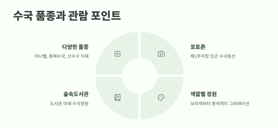 월아산 수국축제 2025 2