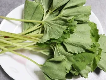 머위 나물 손질하기 먹는법 부작용 효능_11
