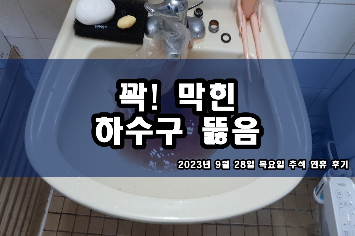  선감동 하수구 묵동 아파트 주방 배수구 역류