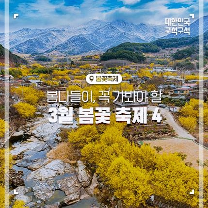  2023 전국 봄꽃축제 일정 총정리 
