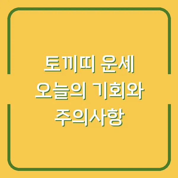 토끼띠 운세 오늘의 기회와 주의사항