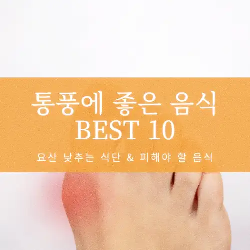 통풍에 좋은 음식 BEST 10