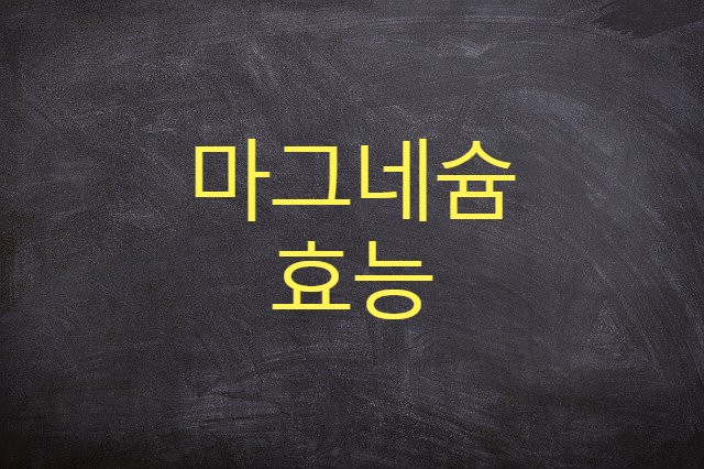  마그네슘 효능