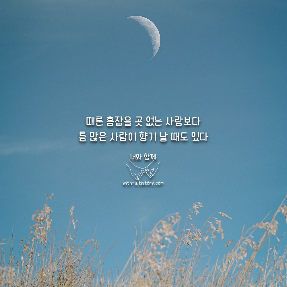  비교 명언 : 짧고 좋은 글귀 : 짧은 명언