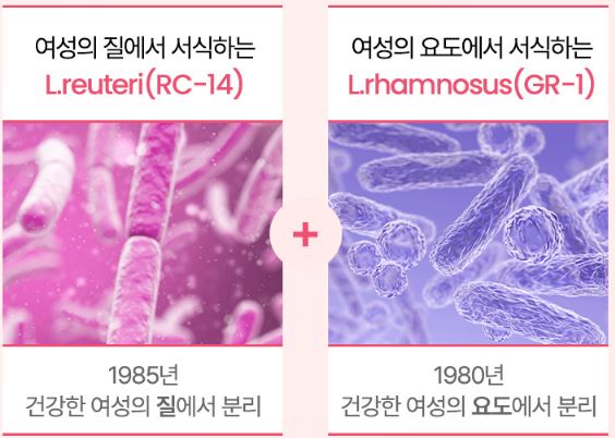 여성-유산균-추천-엘레나-질유산균