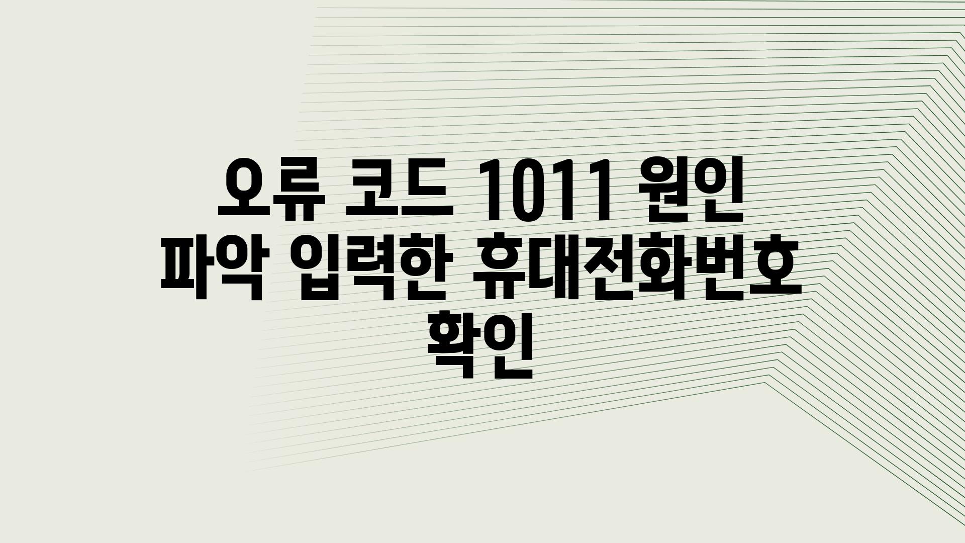 오류 코드 1011 원인 파악 입력한 휴대📞전화번호 확인