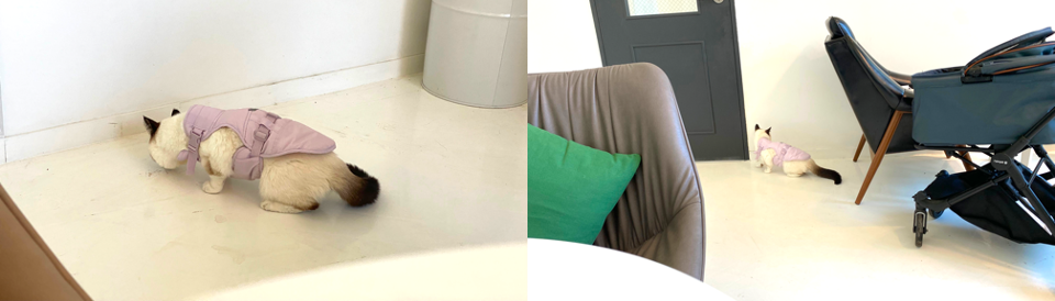 가볼만한곳 속초 38DEGREE 11