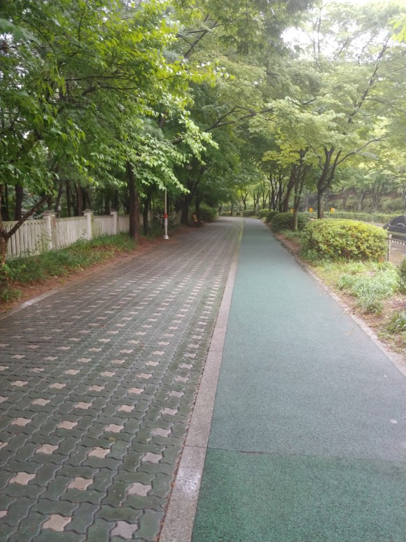 도서관가는길 이미지