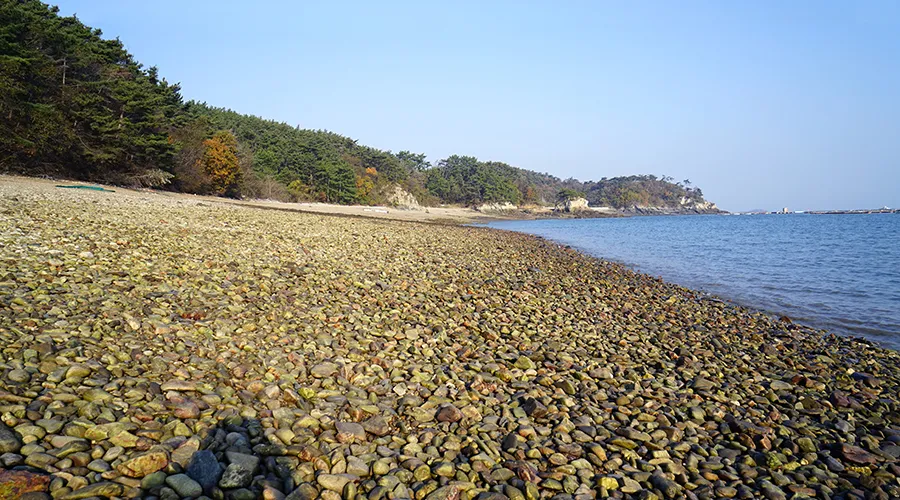 효자도 배시간표 배편 예매 요금 민박_8