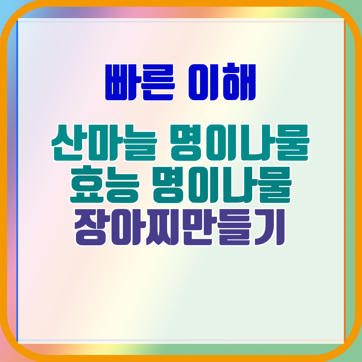산마늘 명이나물 효능 명이나물 장아찌만들기