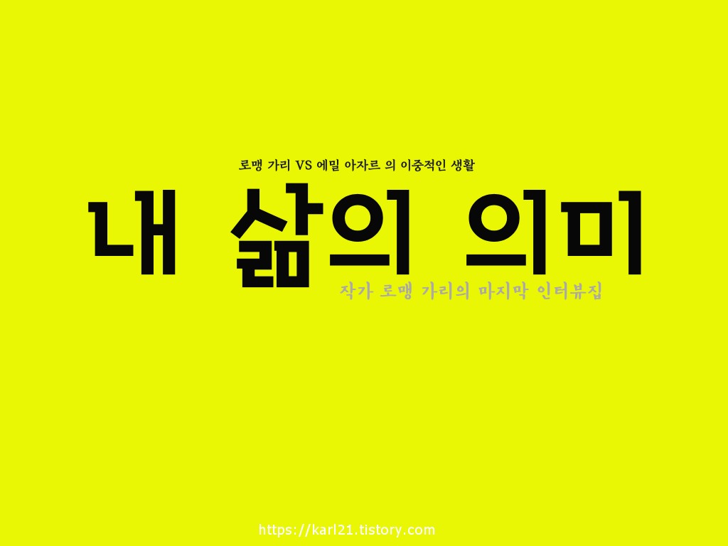  로맹 가리 내 삶의 의미/로맹 가리를 알 수 있는 인터뷰집, 그리고 에밀 아자르와는 이명동인