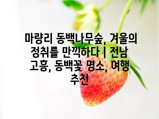 랜덤223