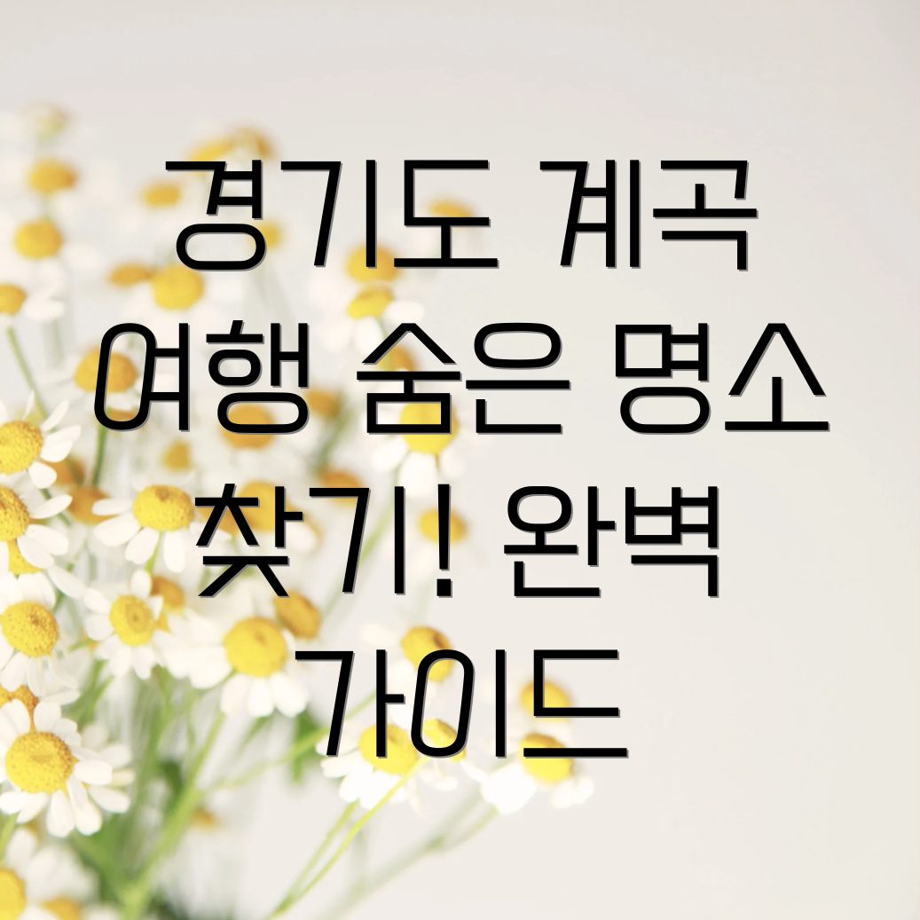 경기도 계곡