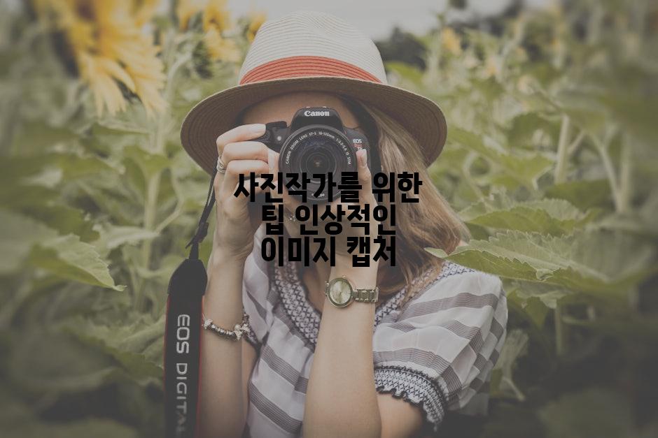 사진작가를 위한 팁 인상적인 이미지 캡처