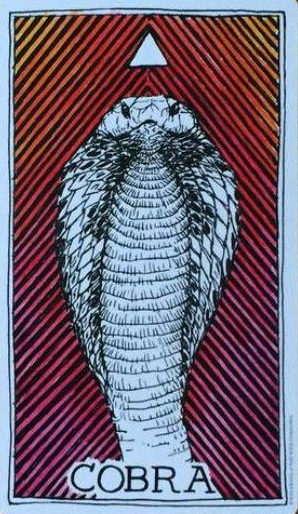  [오라클카드배우기/와일드언노운애니멀스피릿]The Wild Unknown Animal Spirit Cobra 코브라 해석 및 의미