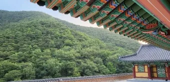 자연 속 템플스테이 베스트 10 (내소사 백담사 숨겨진 명사찰)_5