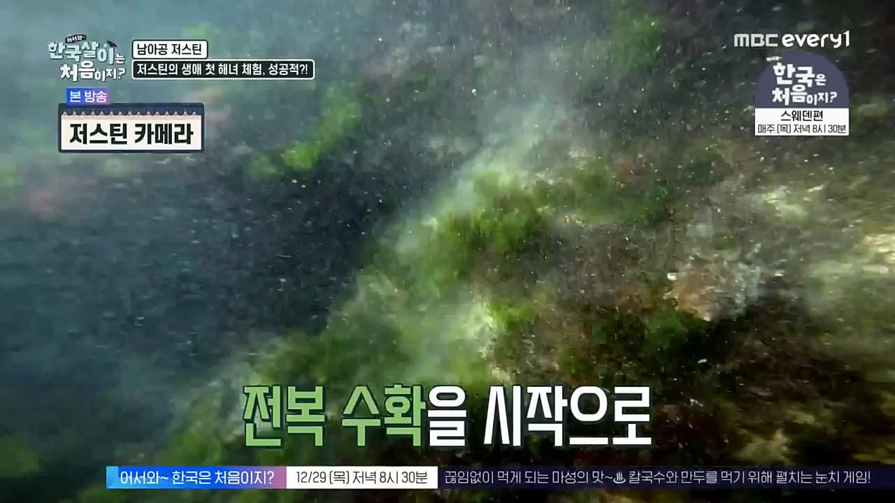 어서와 한국살이는 처음이지.E02.221228p-NEXT.mp4_20221228_203447.370.jpg