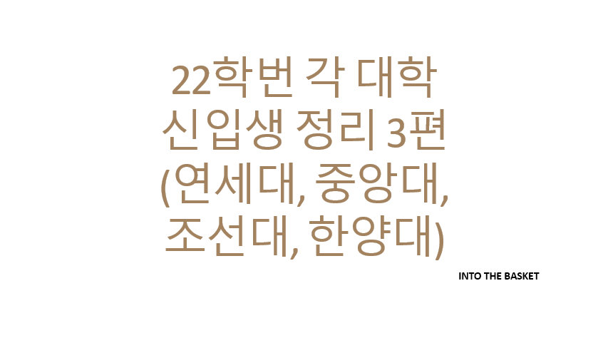  [대학리그] 22학번 각 대학 신입생 정리 3편 (연세대, 중앙대, 조선대, 한양대)