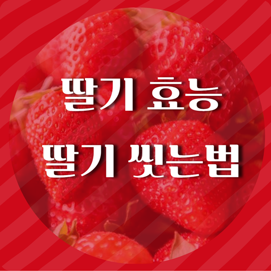 딸기효능딸기씻는법썸네일