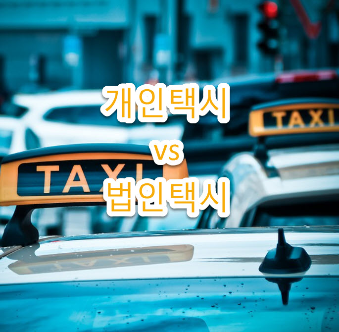 개인택시 vs 법인택시 차이, 장단점 완벽설명