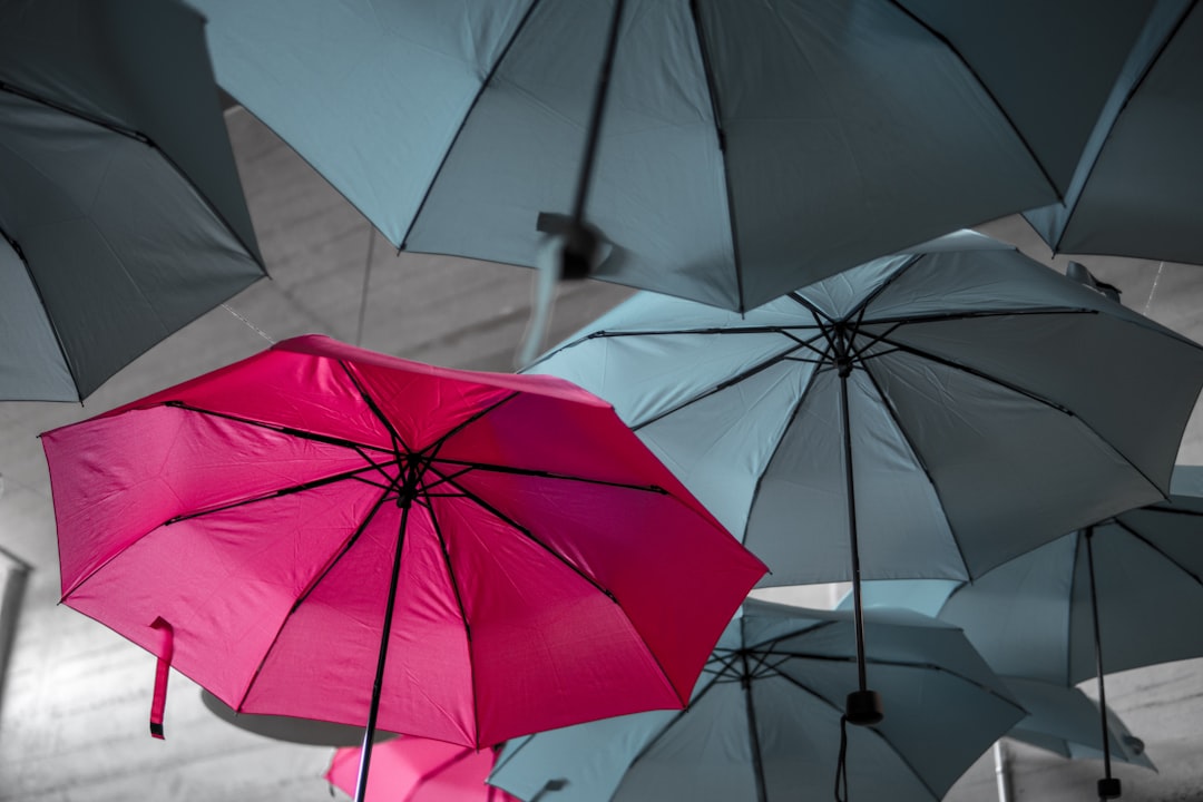 Umbrella.