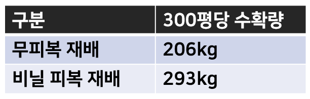 무피복재배의 300평당 땅콩 수확량: 206kg

피복재배의 300평당 땅콩 수확량: 293kg